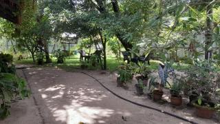 Marari Adonis Beach Villa - 4