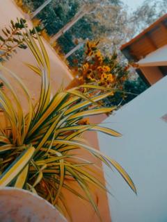 Chathuni Holiday Home - Anuradhapura - 6