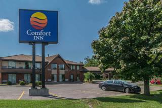 Comfort Inn Cobourg - Cobourg - 9