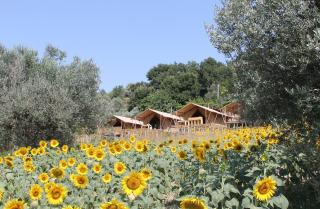Il Girasole Country Village - Massignano - 6