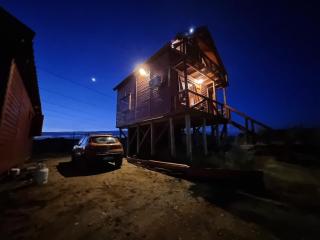 Los olivillos - Balneario Pehuén-Có - 0