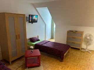 Lilians cosy Apartment JAKO 3a - Graz - 3
