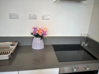 Flat 303 One bedroom apartment - 6