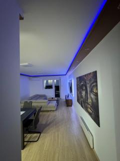 Brasic Apartman - Zaječar - 7