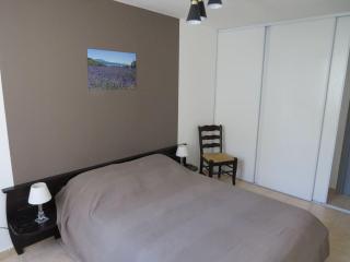 Maison avec piscine dans le haut var - Régusse - 8