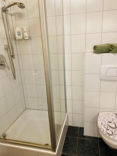 Gartenapartment auf der Höri in Wangen - 2