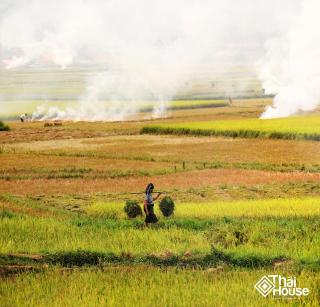 Thai House Pu Luong - Century Old Stilt House with Terrace Views - Hương Bá Thước - 3