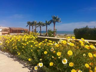 Selena bay - Hurghada - 0