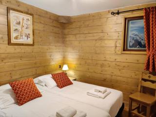 Chalet 3 chambres avec spa et piscine, pied des pistes - FR-1-461-25 - Saint-Martin-de-Belleville - 2
