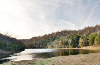 Divine 9 Condo -Fishing Lake & Hiking Trails - Reeds Spring - 6