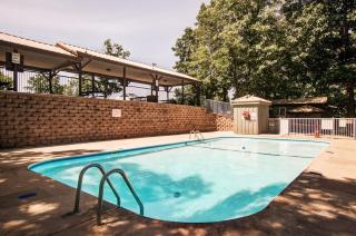 Mountain Getaway- Outdoor Pool Hiking Trails - Reeds Spring - 7