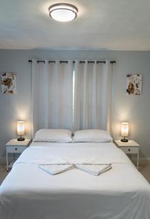 Cozy Home near Busch Gardens Adventure Island and USF - Tampa - 4