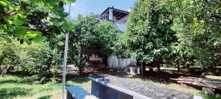 Nature stay Mysore - Mandya - 3