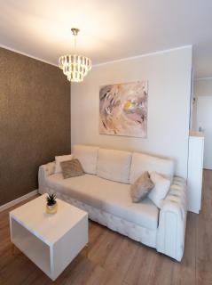 Uranus Luxury Studio Apartment - Timişoara - 8