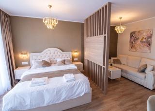Uranus Luxury Studio Apartment - Timişoara - 1