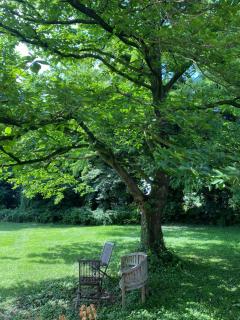 Ferienhaus an der Altrhein-Aue - Xanten - 7
