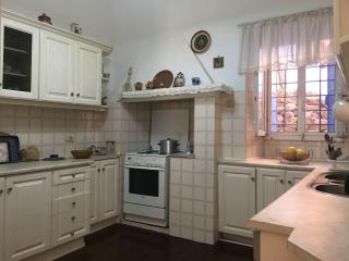 1860 renovated two floors neoclassical house - 2