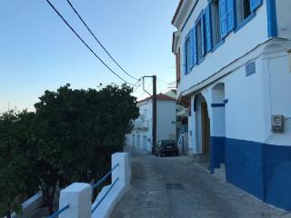 1860 renovated two floors neoclassical house - 8