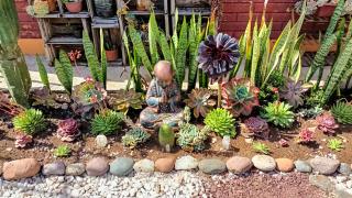 Punto de Equilibrio - La Serena - 1