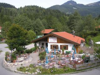 Cosy apartment near ski-lift - Aschach - 6