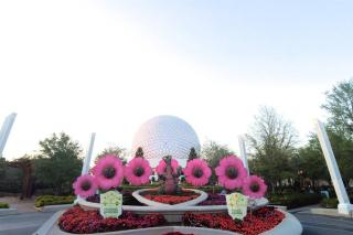 Townhouse Near Disney with Resort Access! - 6