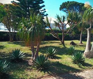 beachfront VILLA AFRICAN QUEEN 11beds - Jeffreys Bay - 9