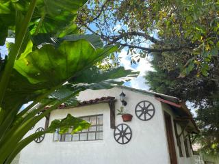 Villa Sofia - 1