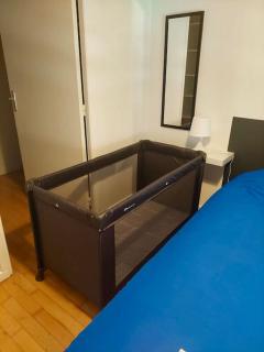 Toulouse Grand T2 Pont des Demoiselles - 6