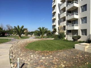 Acogedor depto en La Serena - La Serena - 6