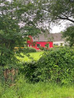 Ferienhaus an der Altrhein-Aue - Xanten - 6