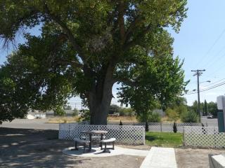 Big Chief Motel - 2