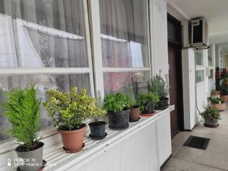 Apartments with a parking space Bjelovar, Bjelovarska - 23322 - Bjelovar - 9