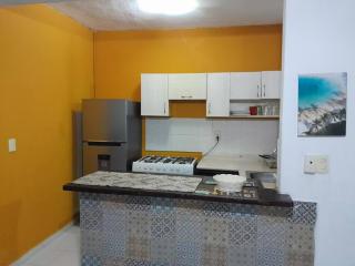 2 Double Bedrooms 1 Bath Puerto Morelos 10 Minutes to the Beach - Puerto Morelos - 3