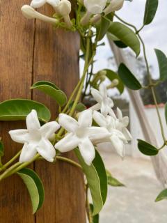 Suite em cidade histórica Caxambu - 3