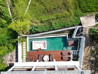 Villa OHANA - Ubud - 8