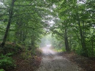 Vikendica Crkvina - 5