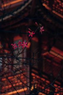 Yimimi Apartment - Guangzhou 13th Line Yide Road Metro Station - 4