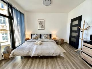 Apartmán Masaryk Square - Děčín - 9