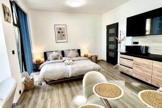 Apartmán Masaryk Square - Děčín - 1