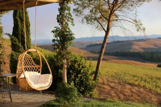 Tenuta d'Arbia, Siena - Monteroni d'Arbia - 5