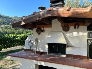 La Casa negli Ulivi, con piscina - 3