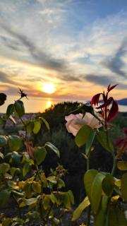 B&B Relais da Clorinda - 6