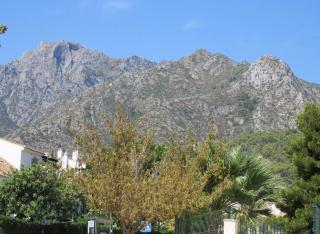 Apartamento bien situado en Marbella - Marbella - 9