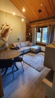 Levihuvila 16 with 1 ski pass - 8