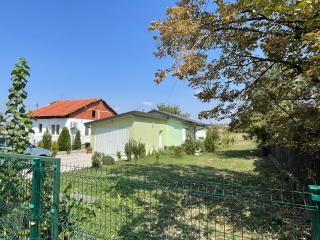 The Little Green House - 7