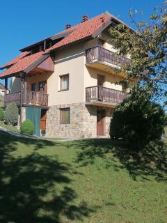 Vila Milija - Bajina Bašta - 3