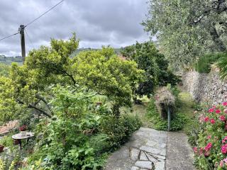 Casa degli Agrumi - Diano San Pietro - 7