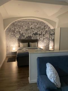 Apartment Frenki- Tkalčićeva -self check in-free parking - Zagabria - 2