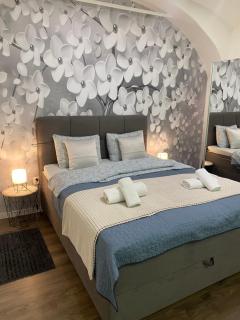 Apartment Frenki- Tkalčićeva -self check in-free parking - Zagabria - 5
