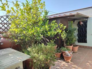 Casa Sandra - Pirri - 6